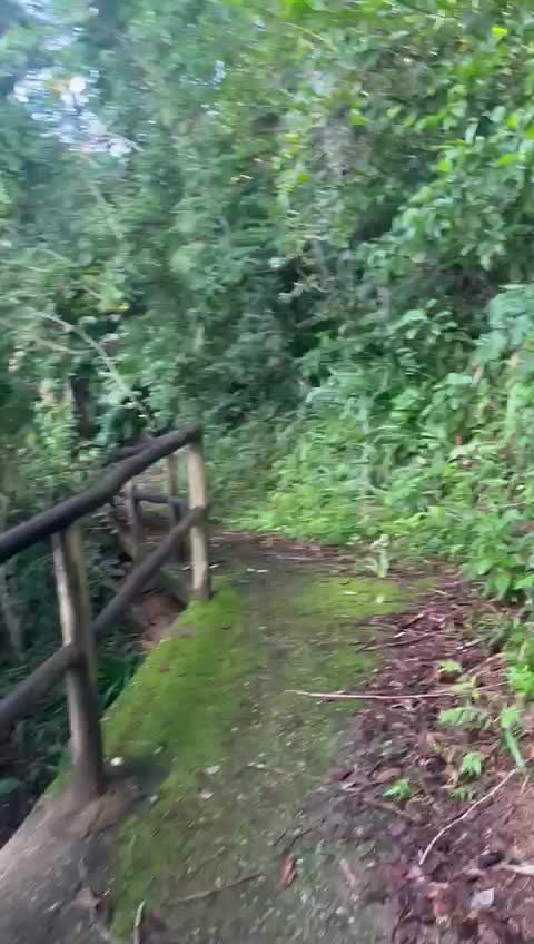Estrutura 4